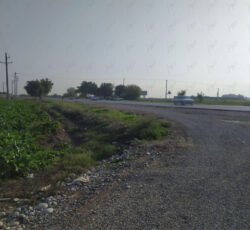 فروش باغچه