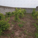 باغچه ۵۰۰متری