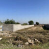 یک قعطه زمین باغ