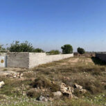 یک قعطه زمین باغ