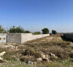 یک قعطه زمین باغ