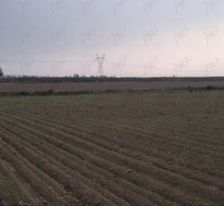 زمین شوشتر