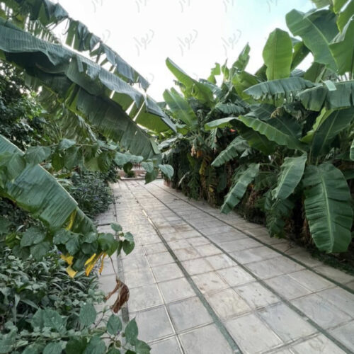 ۱۰۰۰ متر زمین گلستان