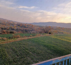 زمین مسکونی است