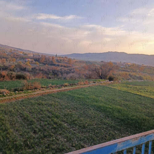 زمین مسکونی است