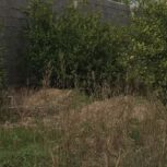 باغچه سند سبتی برق دار