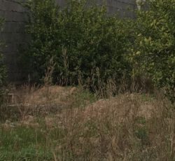 باغچه سند سبتی برق دار