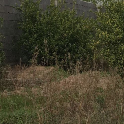 باغچه سند سبتی برق دار