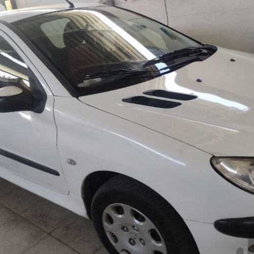 پژو 206 SD V8، مدل ۱۳۹۳