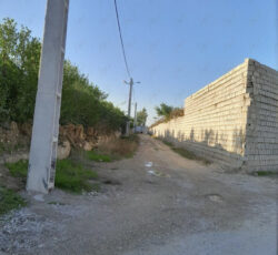 باغ فروشی