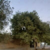 فروش ویلایی۱۹۰متر/خ دانش نبش نهضت/کد ۲۰۴۸/ نیکان