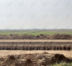 زمین کشاورزی