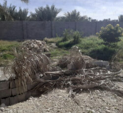 زمین برای ساخت خانه وویلا باغ