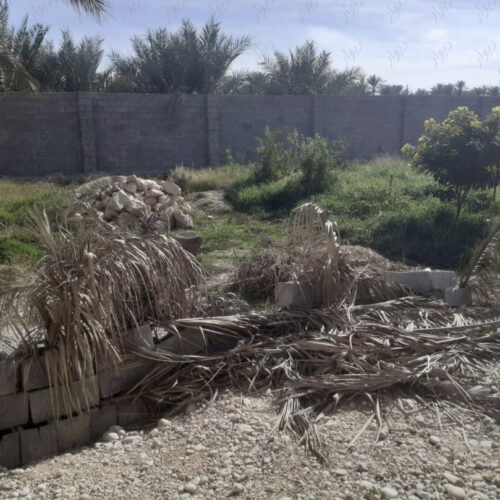 زمین برای ساخت خانه وویلا باغ