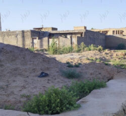 زمین در عین دو