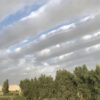 فروش باغ