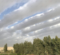 فروش باغ