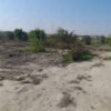 زمین کشاورزی مناسب طرح و خونه باغ