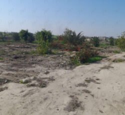 زمین کشاورزی مناسب طرح و خونه باغ