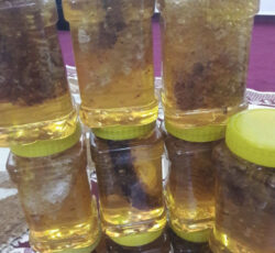 عسل کوهی درمانی