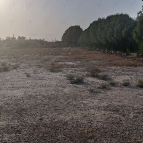 زمین جهت ساخت ویلا 15250متر گلالک ابعاد 63*25