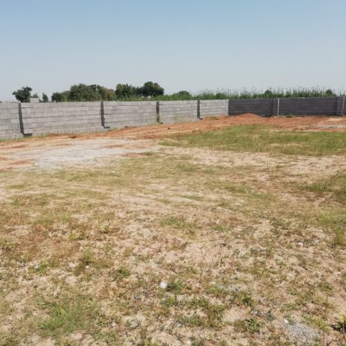 زمین کشاورزی