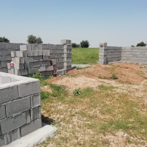 زمین کشاورزی