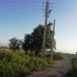 زمین کشاورزی