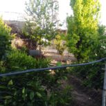 فروش خانه ویلایی در ایذه