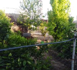 فروش خانه ویلایی در ایذه