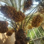 خانه ویلای 220 متری دو طبقه @