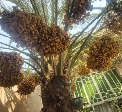 خانه ویلای 220 متری دو طبقه @