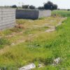 زمین کشاورزی