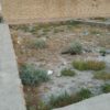 زمین مسکونی