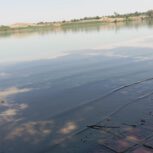 باغ ویلا