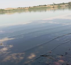 باغ ویلا