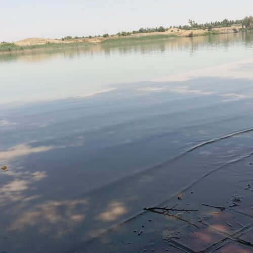 باغ ویلا
