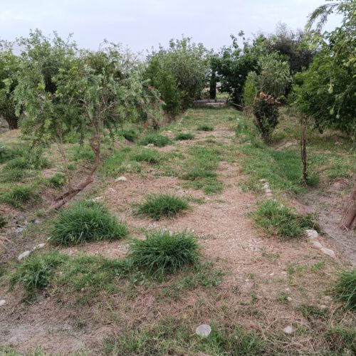 فروش بتغ