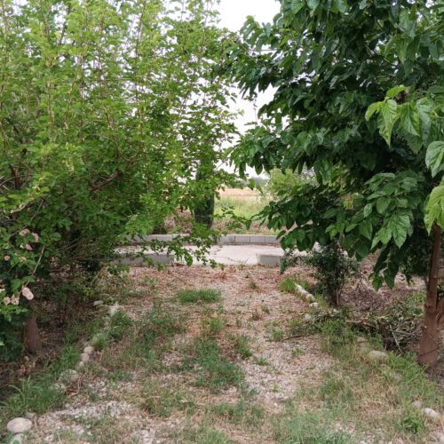 فروش بتغ