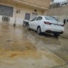 شاهین جی سانرف دار