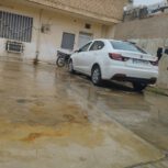 شاهین جی سانرف دار
