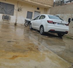 شاهین جی سانرف دار