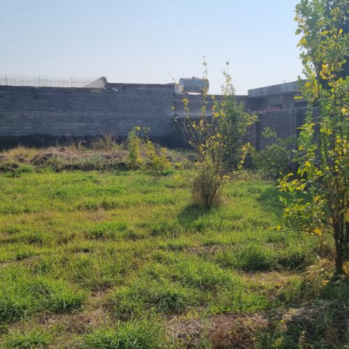 باغچه 700 متری شمس اباد