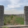 زمین باغی