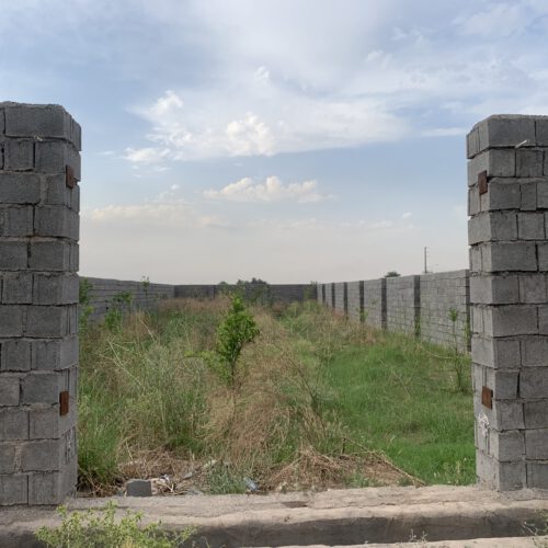 زمین باغی