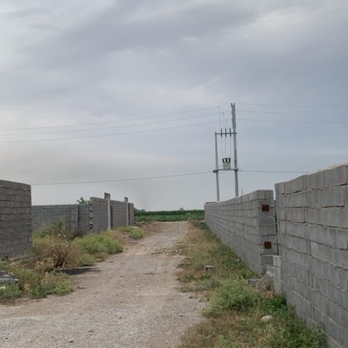 زمین باغی