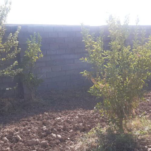 زمین باغچه