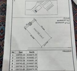 زمین 186متری