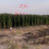فروش زمین شهر منتظران دزفول