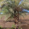 خانه 550 متری ویلایی حمیدیه